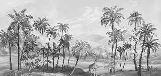 Papier peint jungle Zaphira sépia, XXL, tendance