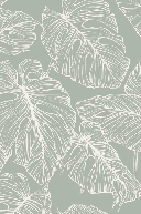Papier peint feuille monstera sauge - Muralconcept