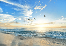 Papel pintado Paradise Beach