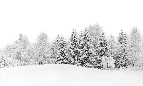 Papier peint panoramique évasion hivernale - Muralconcept