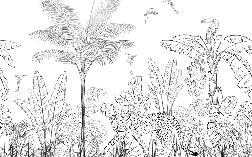 Papier peint jungle noir et blanc léopard