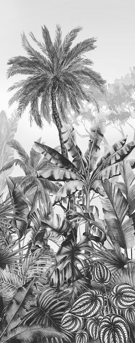Papier peint wc tendance tropical noir et blanc