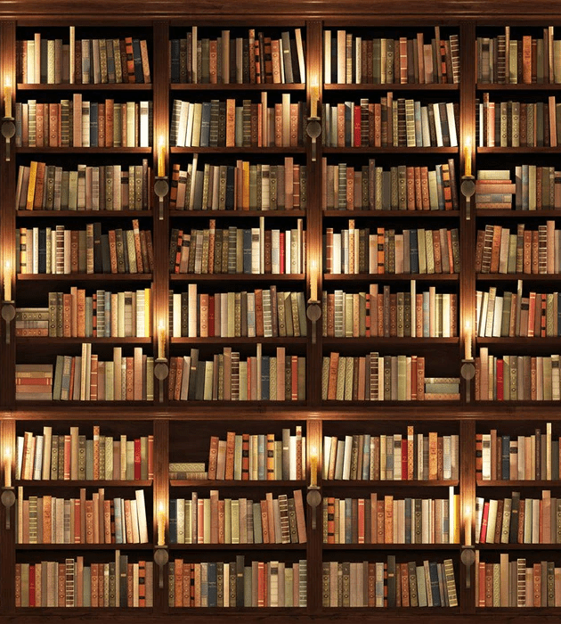Papier peint trompe l'oeil Authentique Bibliothèque - Muralconcept