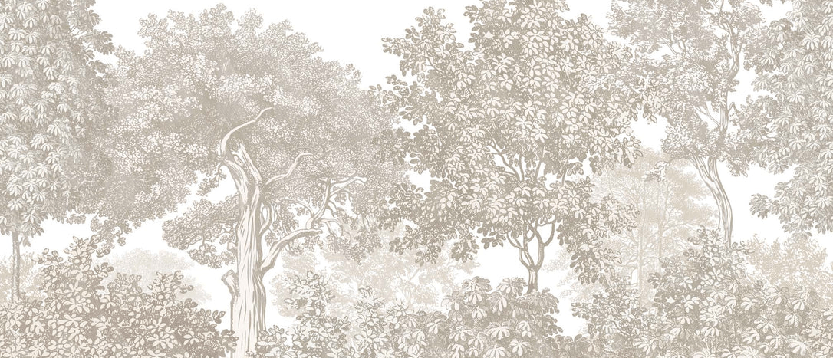 Papier peint paysage forêt gravure beige
