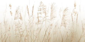 Papel pintado baño campo de trigo beige