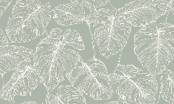 Papier peint feuille monstera sauge, XXL, tendance