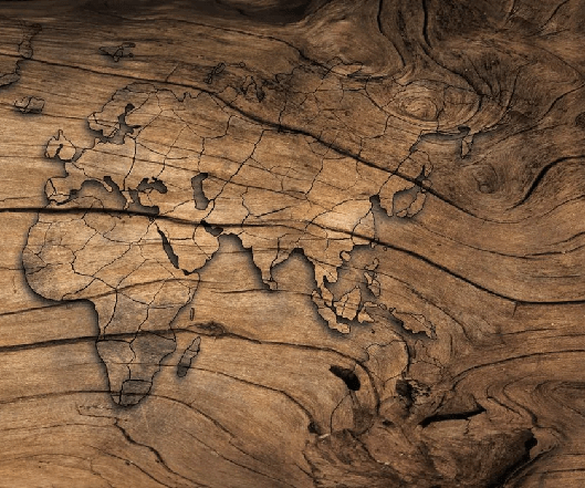 Papier peint Wood & Map