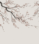 Papier peint panoramique Sakura beige
