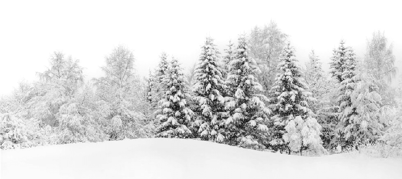 Papier peint panoramique évasion hivernale - Muralconcept