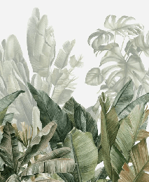 Papel pintado panorámico verde plátano