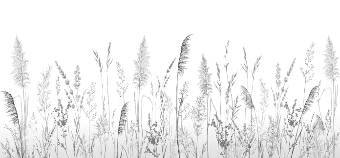 Papier peint poétique pampa - Muralconcept