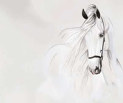 Papier peint Etalon Blanc Majestueux - Muralconcept