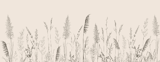 Papier peint panoramique prairie sauvage - Muralconcept