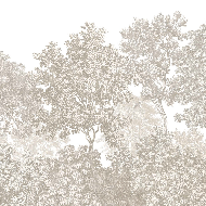 Papel pintado paisaje bosque grabado beige