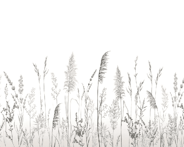 Papier peint poétique pampa - Muralconcept