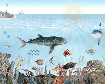 Papier peint animaux marins