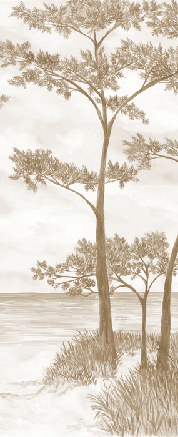 Papier peint Pins maritimes et dunes - Sépia - Muralconcept