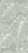 Papier peint feuille monstera sauge - Muralconcept