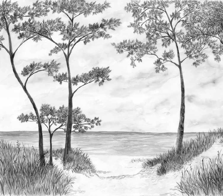 Papier peint Pins maritimes et dunes - Noir et blanc