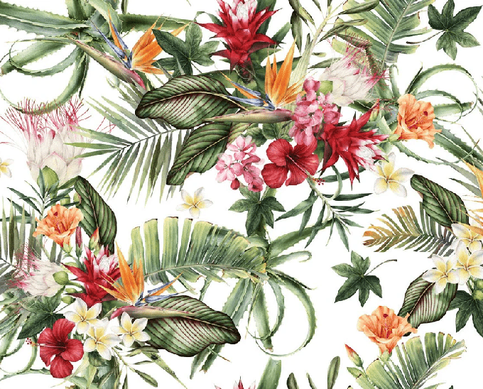 Papier peint tropical & Fleurs colorées