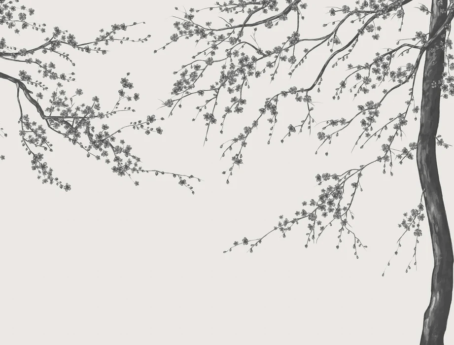 Papier peint panoramique fleur Sakura noir et blanc