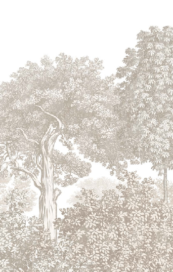 Papier peint paysage forêt gravure beige