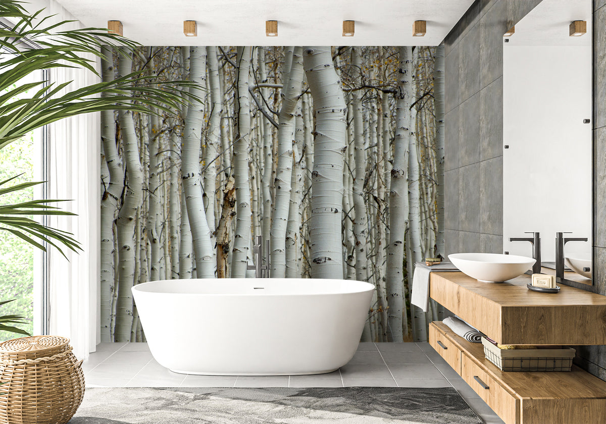 Papel pintado para baño con diseño de bosque de abedul