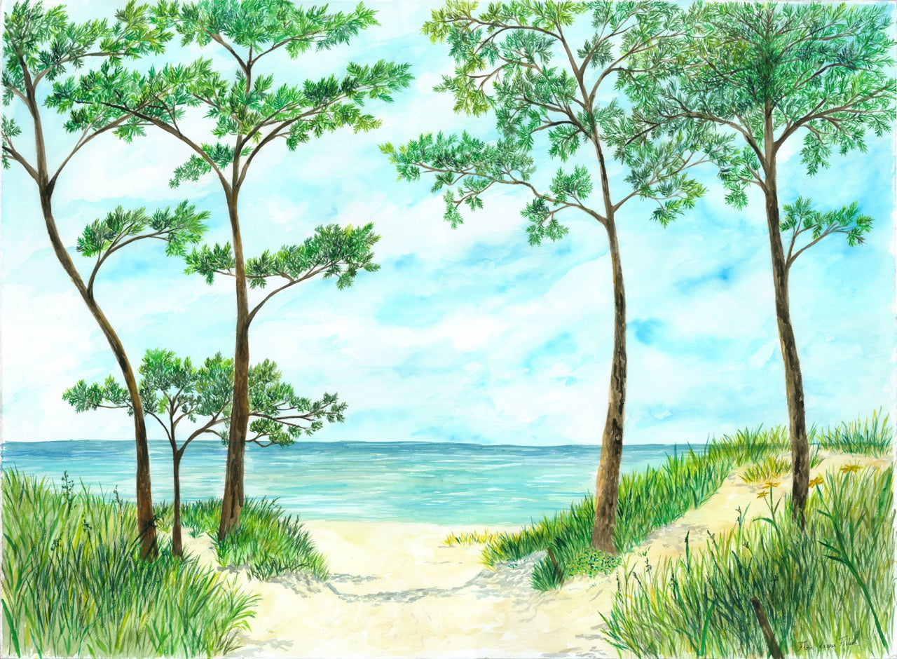 Papier peint Pins maritimes et dunes - Vert - Muralconcept