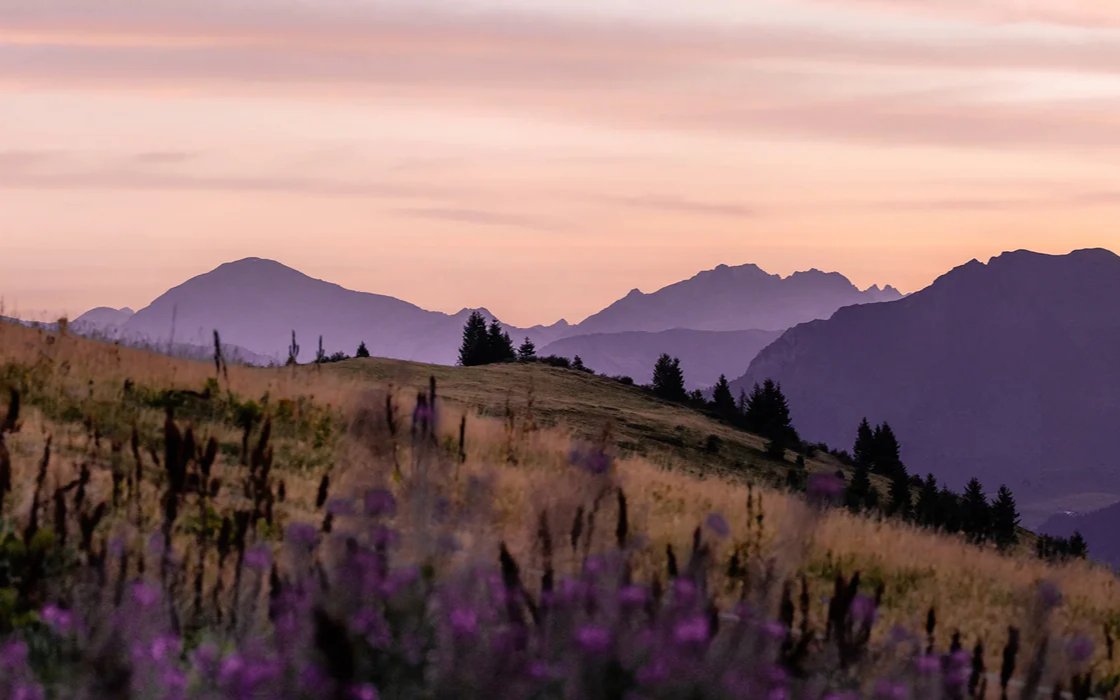 Papier peint restaurant massif du Giffre, mural concept, tendance