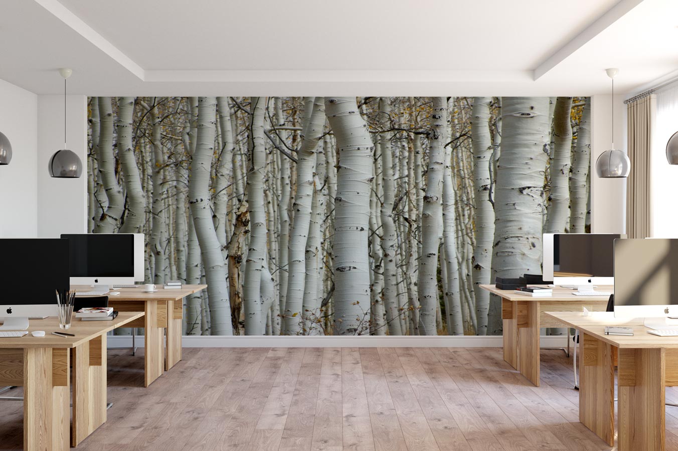 Papier peint Forêt de bouleau - papier peint sur mesure francais - muralconcept