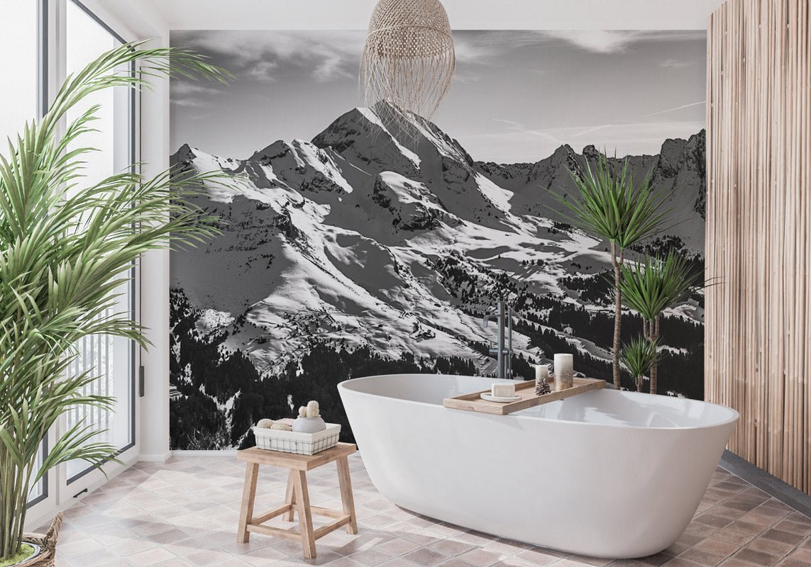 Papier peint montagne noir et blanc les Aravis - papier peint sur mesure francais - muralconcept